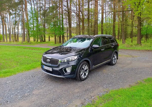 opolskie Kia Sorento cena 83500 przebieg: 167300, rok produkcji 2015 z Żychlin